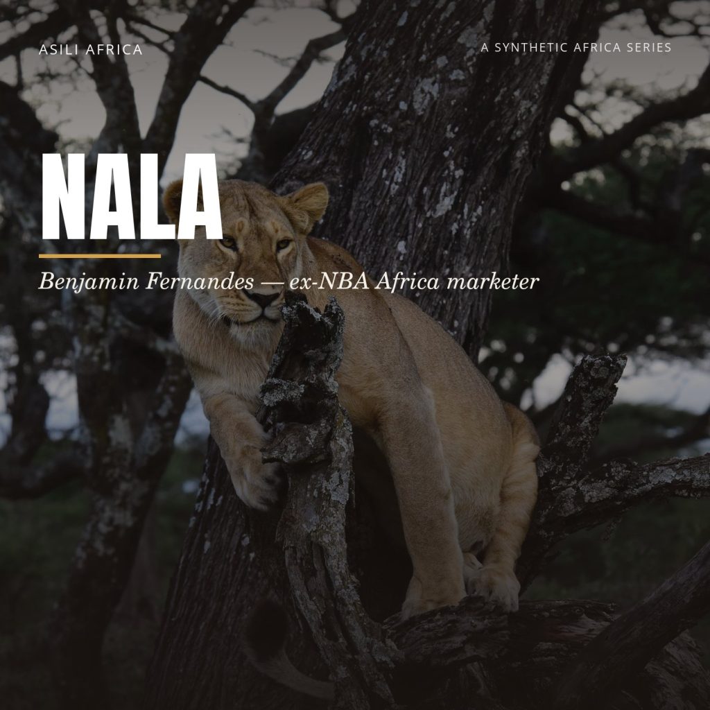 nala benjamin fernandes thumb 1372