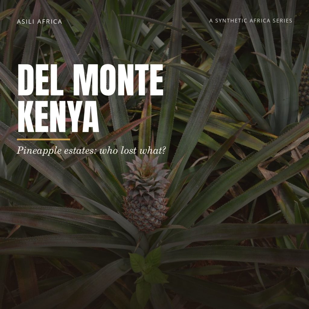 del monte kenya thumb 1719